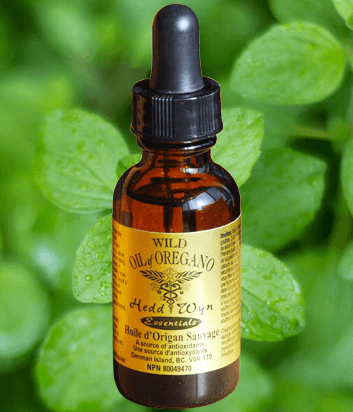 Certified Organic Wild Mediterranean Oil of Oregano - Wild Oregano Oil by Hedd Wyn Essentials